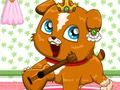 Игра Pet Roulette онлайн