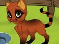 Игра Моето коте  онлайн