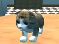 Игра Симулатор на котките: Kitty Craft!  онлайн
