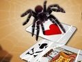 Игра Скачане на паяк  онлайн
