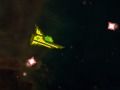 Игра Контрол  онлайн
