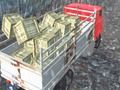 Игра Офроуд камион шофьор  онлайн