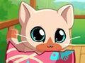 Игра Моето Pocket домашни котешка котка  онлайн