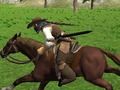 Игра Симулатор за конна езда  онлайн