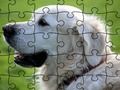 Игра Пъзел Домашни животни  онлайн