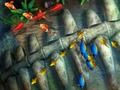 Игра Крал на риболова  онлайн