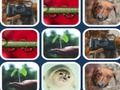 Игра Проблем с паметта  онлайн