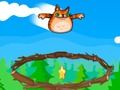 Игра Крайна ядосана котка  онлайн