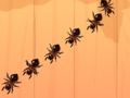 Игра Ant Antash  онлайн