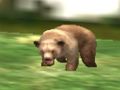 Игра Ловец на животни Safari  онлайн