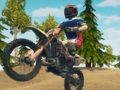 Игра Dirt Bike Enduro Racing онлайн