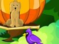 Игра Бягство от цветната градина  онлайн
