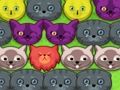 Игра Поп-поп котенца  онлайн