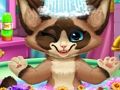 Игра Коте коте  онлайн