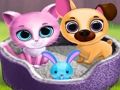 Игра Сладки домашни приятели  онлайн