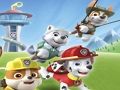 Игра Оцветяване на Paw Patrol  онлайн