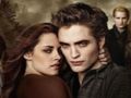 Игра Колекция пъзели Twilight онлайн Игра Колекция пъзели Twilight онлайн