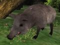 Игра Пъзел за лов на глигани  онлайн