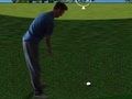 Игра Flash Golf 3D  онлайн