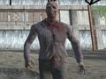 Игра Dark Forest Zombie Survival FPS онлайн