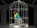 Игра Бягство на папагалите  онлайн