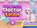 Игра Лабрадор в лекарския салон  онлайн