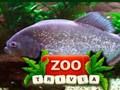 Игра ZOO Любопитни факти  онлайн