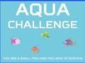 Игра Aqua Challenge онлайн