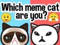 Игра Коя мем котка си ти?  онлайн