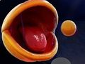 Игра Pac-Man 3d онлайн