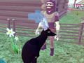 Игра Елен симулатор 3D  онлайн