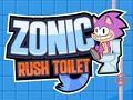 Игра Тоалетна Sonic Rush  онлайн