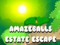 Игра Amazeballs Estate Escape онлайн