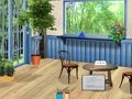 Игра Кагуя  онлайн