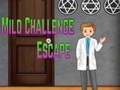 Игра Amgel Mild Challenge Escape онлайн