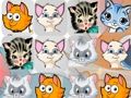 Игра Съвпадение на котенца 3  онлайн