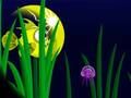 Игра Flash Fish Freddie онлайн