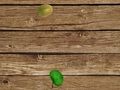 Игра Стрелба по плодове  онлайн
