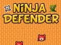 Игра Нинджа защитник  онлайн