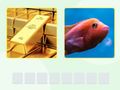 Игра Picword онлайн
