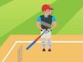 Игра Крикет 2D  онлайн