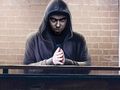 Игра Страшен ужас  онлайн