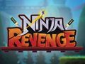 Игра Отмъщението на нинджа  онлайн