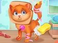 Игра Докторски грижи за сладки домашни любимци  онлайн