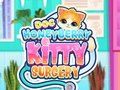 Игра Хирургия на котето на Doc Honeyberry онлайн
