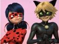 Игра Пъзел Miraculous Ladybug & Cat Noir  онлайн