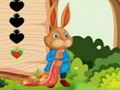 Игра Бягство на катерица  онлайн