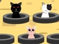Игра Хвани котки  онлайн