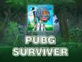 Игра PUBG Survivor  онлайн