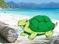Игра Бягство от двойка плажни раци онлайн
